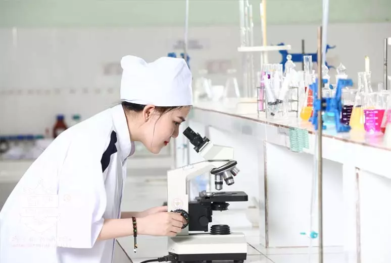 Tuyển sinh Trung cấp, Cao đẳng chính quy